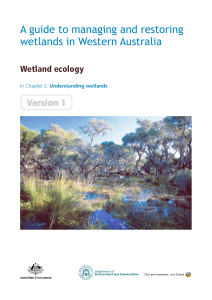 Wetland ecology - Department of Parks and Wildlife