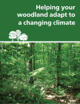 Helping your woodland adapt to a changing climate