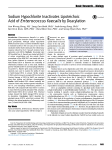 Sodium Hypochlorite Inactivates Lipoteichoic Acid of Enterococcus