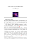 Plasma Physics and Numerical Simulations