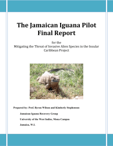 The Jamaican Iguana Pilot Final Report