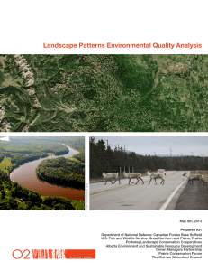 Landscape Patterns Environmental Quality Analysis