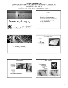 Pulmonary Imaging - Cornell University Veterinary Specialists