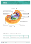 CELL SNAP - YourGenome.org