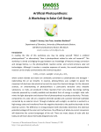 Artificial Photosynthesis: A Workshop in Solar Cell Design