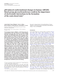 pH-induced conformational changes in human ABO(H) blood group