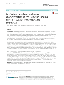 of Pseudomonas aeruginosa - BMC Microbiology
