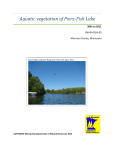 Aquatic Vegetation of Pierz-Fish Lake - Minnesota DNR - MN-dnr