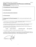 Model 1: 5 Fundamental Cell Processes underlying