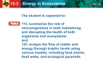 13.3 Energy in Ecosystems - Biology with Ms. Murillo