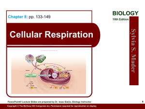 Cellular Respiration