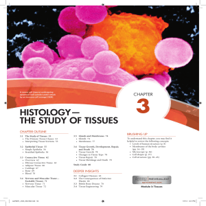 HISTOLOGY— THE STUDY OF TISSUES