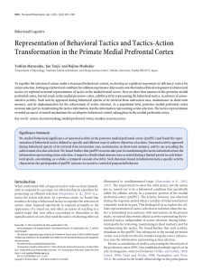 Representation of Behavioral Tactics and Tactics