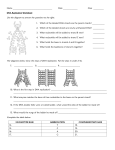 Use the diagram to answer the questions to the right