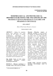 MORPHOLOGICAL AND PHENOLOGICAL DIFFERENCES