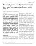 Cockayne Syndrome group B protein interacts