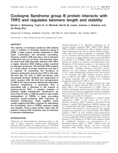 Cockayne Syndrome group B protein interacts