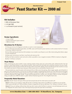 Yeast Starter Kit — 2000 ml