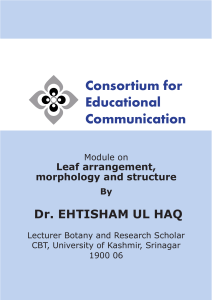Consortium for Educational Communication