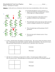 Monohybrid and Test Cross Practice Problems