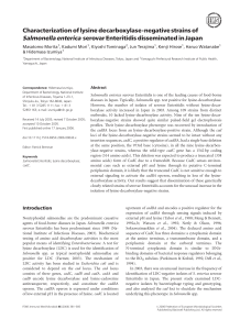 Characterization of lysine decarboxylase