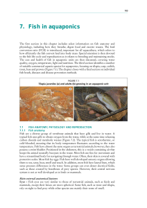 7. Fish in aquaponics - Food and Agriculture Organization of the