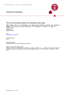 The role of mixotrophic protists in the biological carbon pump