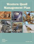 Western Quail Plan-111009