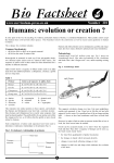 Humans: Evolution or creation?