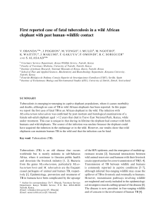 First reported case of fatal tuberculosis in a wild African elephant
