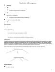 Classification of Microorganisms