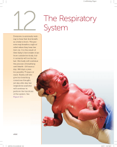 The Respiratory System - McGraw Hill Higher Education