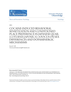 cocaine-induced behavioral sensitization and
