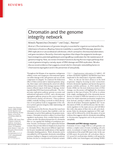 Chromatin and the genome integrity network