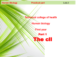 the cell lab2 part 1 and 2