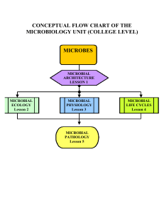 conceptual flow chart of the microbiology unit (college level) microbes
