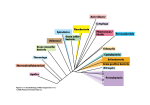 Metabolic Diversity