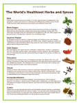 healthiest herbs and spices handouts (Read-Only)
