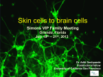 Skin cells to brain cells