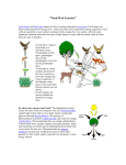 Food Web Exercise