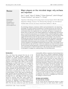 Major players on the microbial stage: why archaea