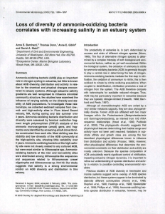 Loss of diversity of ammonia-oxidizing bacteria correlates with