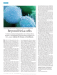 Beyond HeLa cells - Hyman Lab - MPI-CBG