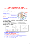 Chapter 10 Cell Growth and Division How Surface