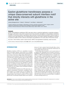 Epsilon glutathione transferases possess a unique class