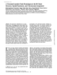 A Truncated Laminin Chain Homologous to the B2 Chain: Structure