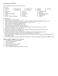 Cell Structures Study Sheet