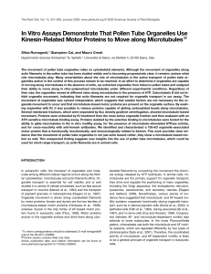 In Vitro Assays Demonstrate That Pollen Tube Organelles Use