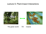 Plant-Insect Interactions