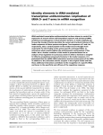 Identity elements in tRNA-mediated transcription